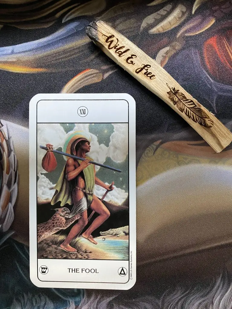 0 - The Fool Tarot Card Meaning